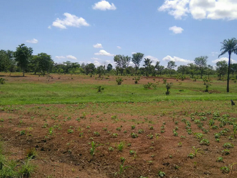 Commercial Land Measuring 6,900sqm at Central Area Abuja